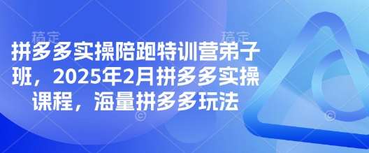 拼多多实操陪跑特训营弟子班，2025年2月拼多多实操课程，海量拼多多玩法-问小徐资源库