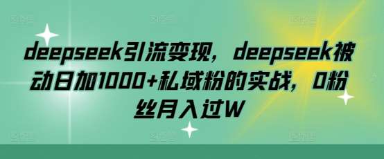 deepseek引流变现，deepseek被动日加1000+私域粉的实战，0粉丝月入过W-问小徐资源库