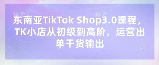 东南亚TikTok Shop3.0课程，TK小店​从初级到高阶，运营出单干货输出-问小徐资源库