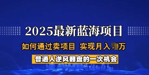2025蓝海项目，普通人如何通过卖项目，实现月入过W，全过程【揭秘】-问小徐资源库