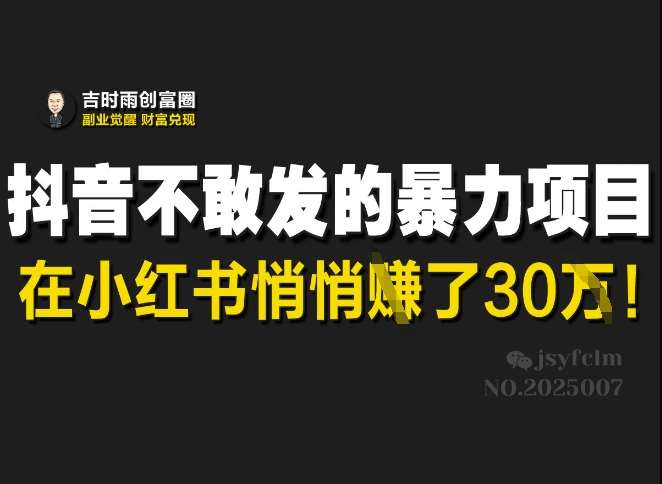 抖音不敢发的暴利项目，在小红书悄悄挣了30W-问小徐资源库