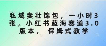 私域卖壮锦包，一小时3张，小红书蓝海赛道3.0版本， 保姆式教学-问小徐资源库