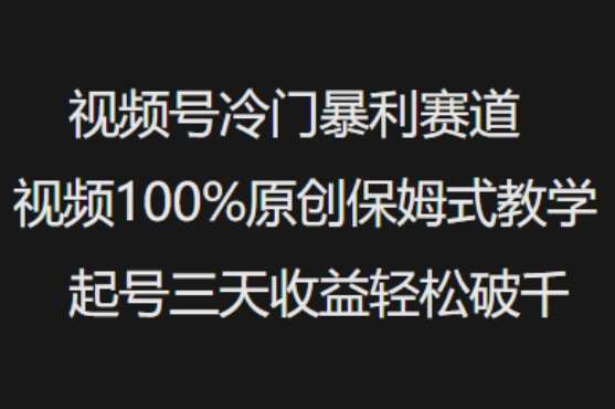 视频号冷门暴利赛道视频100%原创保姆式教学起号三天收益轻松破千-问小徐资源库