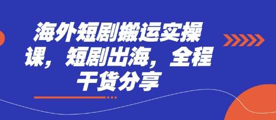 海外短剧搬运实操课，短剧出海，全程干货分享-问小徐资源库