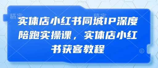 实体店小红书同城IP深度陪跑实操课，实体店小红书获客教程-问小徐资源库