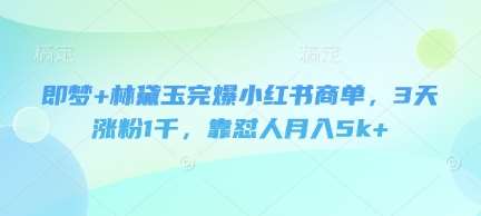 即梦+林黛玉完爆小红书商单，3天涨粉1千，靠怼人月入5k+-问小徐资源库