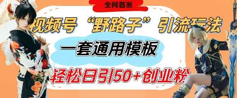 视频号“野路子”玩法，评论区疯狂截流，一套模板单日单号引流50+创业粉-问小徐资源库