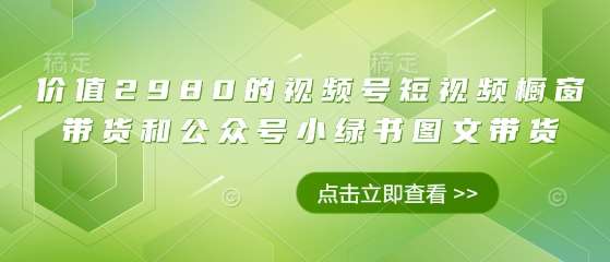 价值2980的视频号短视频橱窗带货和公众号小绿书图文带货-问小徐资源库