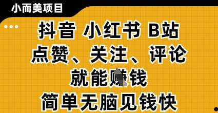 小而美的项目，抖音小红书B站视频点赞、关注、评论就能挣钱，简单无脑立见收益，妥妥的零撸项目【揭秘】-问小徐资源库