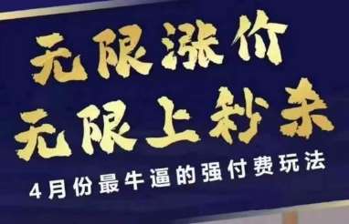 4月12号拼多多线上课，无限涨价，无限上秒杀，4月份最牛逼的强付费玩法-问小徐资源库