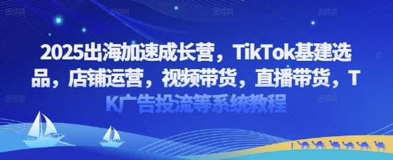 2025出海加速成长营，TikTok基建选品，店铺运营，视频带货，直播带货，TK广告投流等系统教程-问小徐资源库