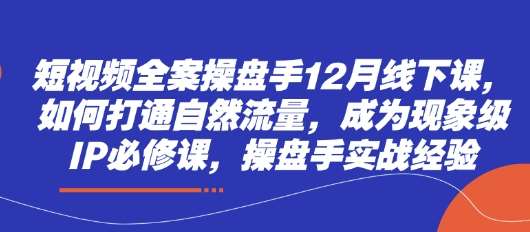 短视频全案操盘手12月线下课，如何打通自然流量，成为现象级IP必修课，操盘手实战经验-问小徐资源库