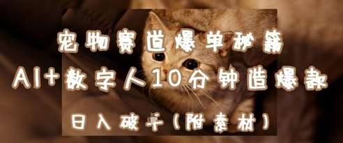 宠物赛道爆单秘籍：AI+数字人10分钟造爆款，日入1k-问小徐资源库