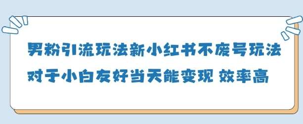 男粉引流玩法(新)，玩法友好做的好当天就能变现-问小徐资源库