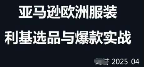 跨境电商选品案例24-25年，聚焦跨境电商选品策略与运营优化，助力卖家挖掘蓝海市场-问小徐资源库