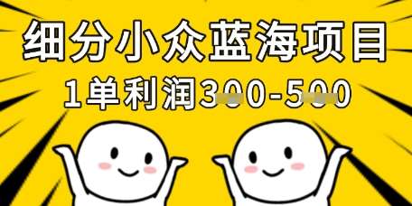 细分小众蓝海项目，一单利润3张，每月收入稳定过1w+-问小徐资源库