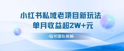 小红书私域项目新玩法，单月变现过W+-问小徐资源库