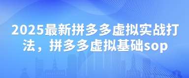 2025最新拼多多虚拟实战打法，拼多多虚拟基础sop-问小徐资源库