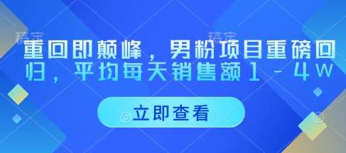重回即颠峰，男粉项目重磅回归，平均每天销售额1-4W-问小徐资源库