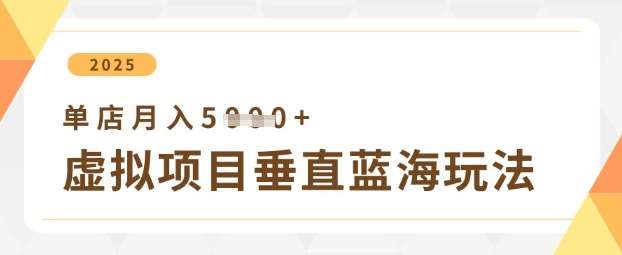 虚拟项目垂直玩法，实现单店月入5k+-问小徐资源库