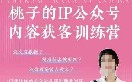 桃子IP公众号内容获客训练营(第3期)，一门让你公众号从0到商业闭环的课程-问小徐资源库