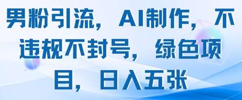 男粉引流，AI制作，不违规不封号，绿色项目，日入五张-问小徐资源库