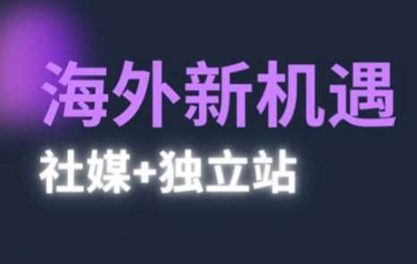 2025出海新机遇(社媒+独立站)，海外新机遇，实现独立站的高效运营与出海-问小徐资源库