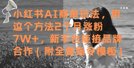 小红书AI商单玩法，用这个方法2个月涨粉7W+，新手也能接品牌合作(附全套指令模板)-问小徐资源库