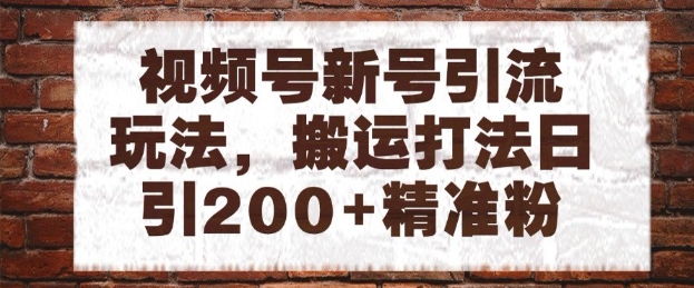 视频号新号引流玩法，搬运打法日引200+精准粉，可矩阵放大【揭秘】-问小徐资源库
