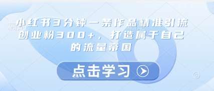 小红书3分钟一条作品精准引流创业粉300+，打造属于自己的流量帝国-问小徐资源库