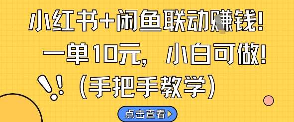 小红书+闲鱼联动挣钱，一单10元，小白可做-问小徐资源库