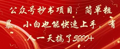 公众号抄书项目，简单粗暴，小白也能快速上手，有人一天搞了1k+-问小徐资源库