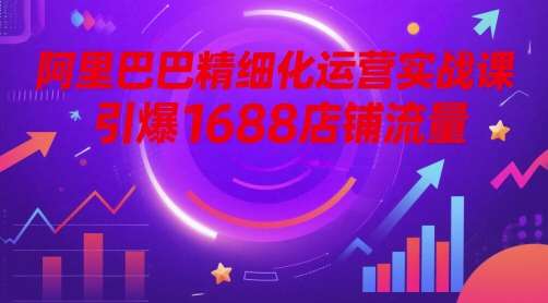 阿里巴巴精细化运营实战课，引爆1688店铺流量-问小徐资源库