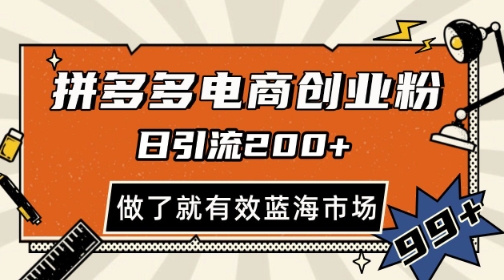 拼多多引流电商创业粉，日引200+，可矩阵放大，做了就有效【揭秘】-问小徐资源库