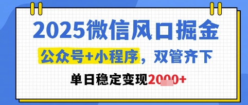 2025微信风口掘金，公众号+小程序双管齐下，单日稳定变现1k+【揭秘】-问小徐资源库