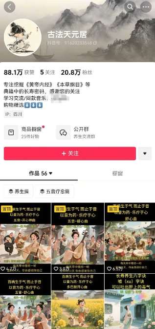 图片[2]-古法五音养生教程，五音疗愈的视频的制作方法，2-4小时就能学会，作者10天涨粉10W-问小徐资源库