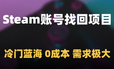 Steam账号找回项目，冷门蓝海，0成本，需求极大-问小徐资源库