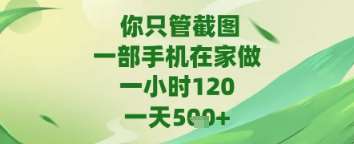 你只管截图，一部手机在家做，苹果安卓都可以，一天5张+【揭秘】-问小徐资源库