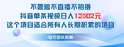 不露脸不直播不拍摄抖音单条视频日入1k+这个项目适合所有人长期积累的项目-问小徐资源库