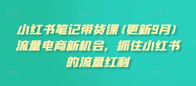 小红书笔记带货课(更新25年5月)流量电商新机会，抓住小红书的流量红利-问小徐资源库
