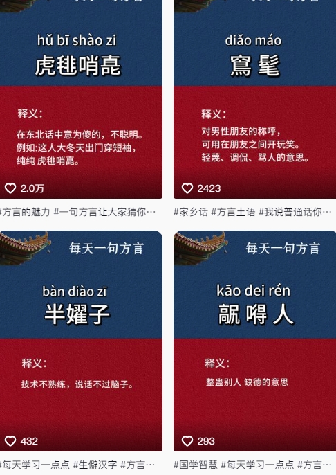 图片[2]-抖音最新涨粉玩法，图文方言暴力涨粉实操，126作品涨粉11W-问小徐资源库