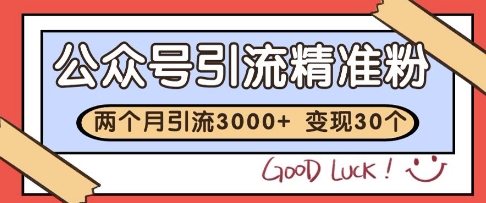 公众号精准粉引流玩法，2个月3000+精准粉，变现30个W【揭秘】-问小徐资源库