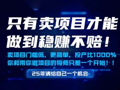 只有卖项目才能做到稳挣不赔，门槛低，更简单，你也可以年入百个W【揭秘】-问小徐资源库
