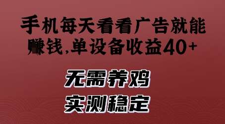 手机每天看看广告就能挣钱，单设备收益40+，无需养鸡，实测稳定【揭秘】-问小徐资源库