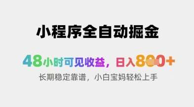 小程序全自动掘金，48小时可见收益，日入8张+长期稳定靠谱，小白宝妈轻松上手【揭秘】-问小徐资源库