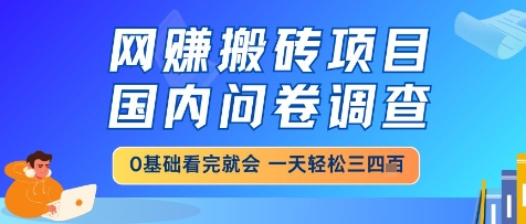 网创搬砖项目，国内问卷调查，小白轻松上手，一天三四张的也不难，干就完了【揭秘】-问小徐资源库