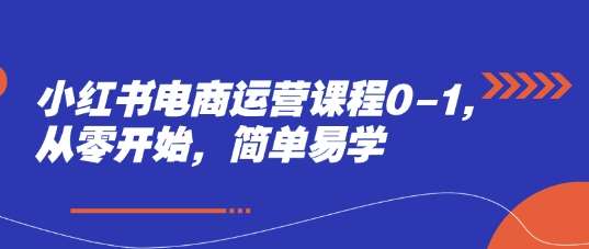 小红书电商运营课程0-1，从零开始，简单易学-问小徐资源库