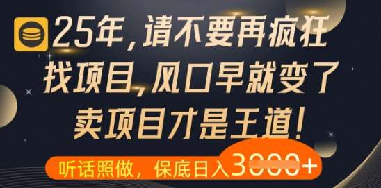 什么？25年你还在疯狂找项目做，醒醒吧，看完这些你全都懂了【揭秘】-问小徐资源库