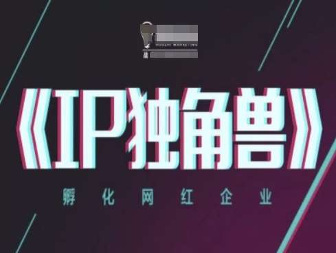 IP独角兽，孵化网红企业，ip教程-问小徐资源库