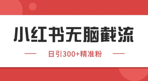 小红书截流同行客源，独家野路子获客玩法 日引200+暴力获客【揭秘】-问小徐资源库